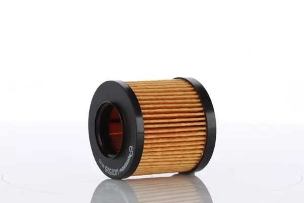 Oil Filter WO1516X