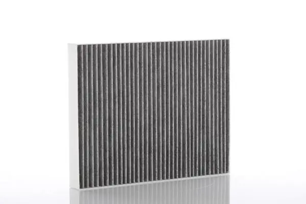 Filter, cabin air WA61284