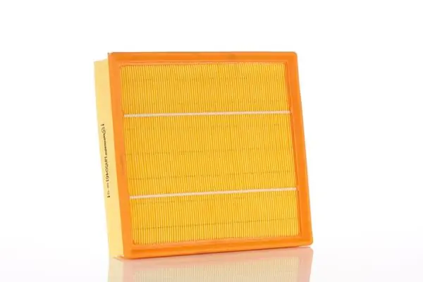 Air Filter WA50461