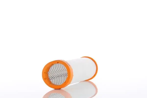 Secondary Air Filter WA41820