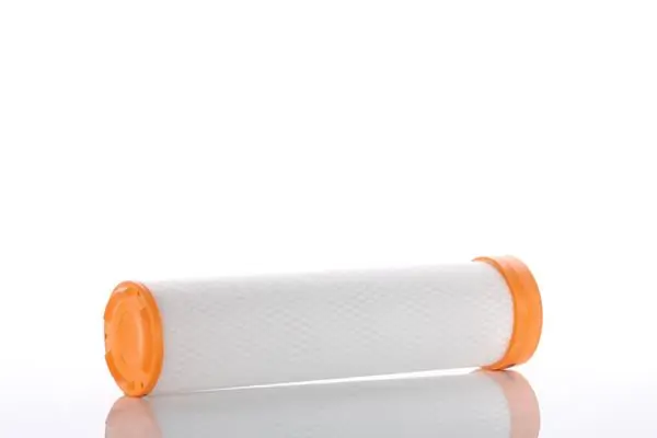 Secondary Air Filter WA411100