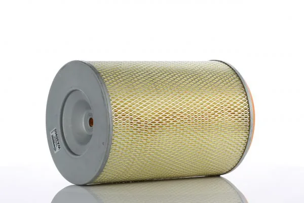 Air Filter WA30900