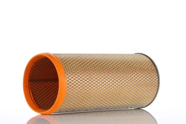 Secondary Air Filter WA401200