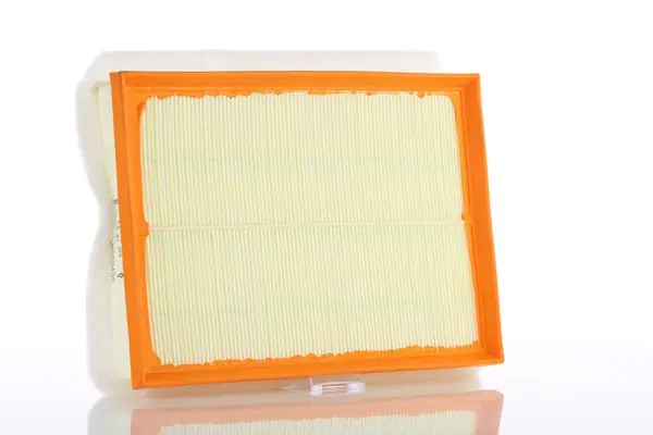 Air Filter WA59456