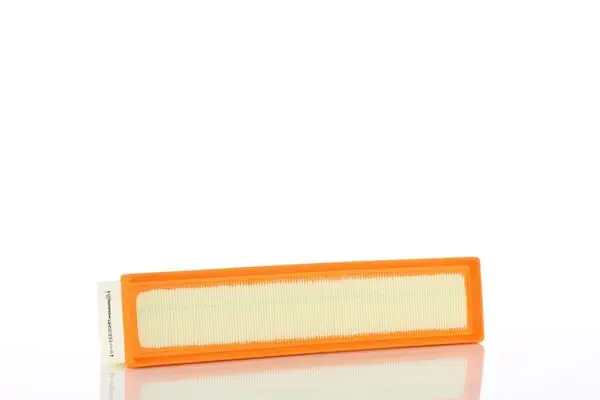 Air Filter WA50333