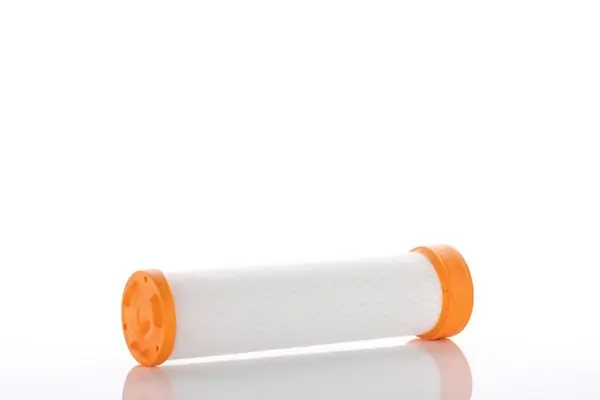 Secondary Air Filter WA41295