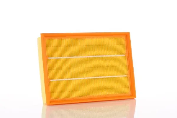 Air Filter WA50396