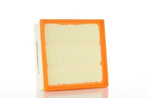 Air Filter WA59425