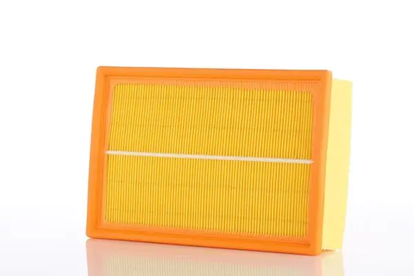 Air Filter WA50445