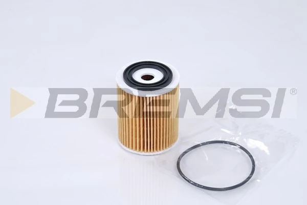 Oil Filter FL0269