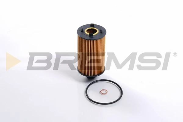 Oil Filter FL0729