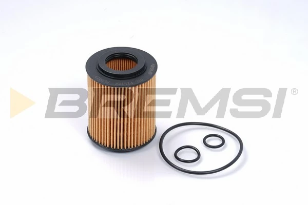 Oil Filter FL0013
