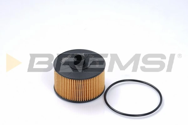 Oil Filter FL0009