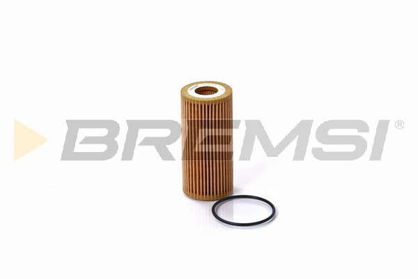 Oil Filter FL0696