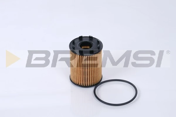 Oil Filter FL0291