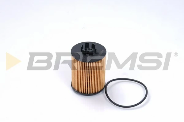 Oil Filter FL0011