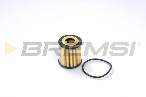 Oil Filter FL0014