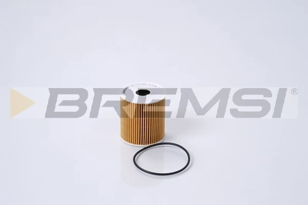 Oil Filter FL1290
