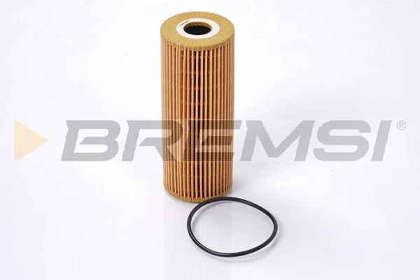 Oil Filter FL0702