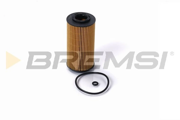 Oil Filter FL0700
