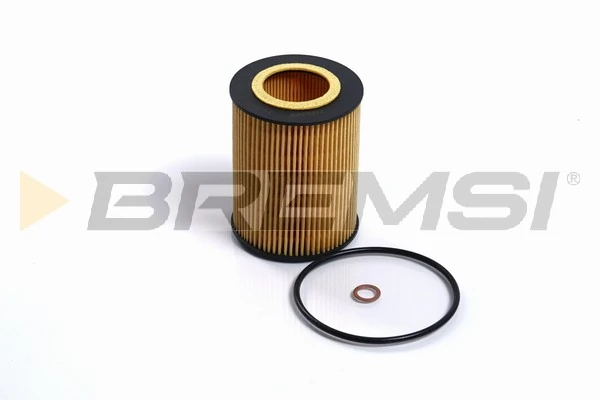 Oil Filter FL0688