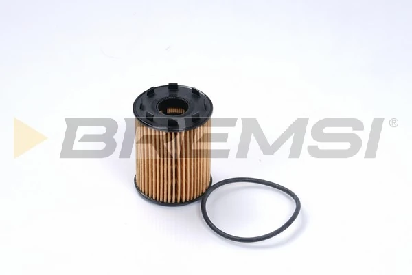 Oil Filter FL0136