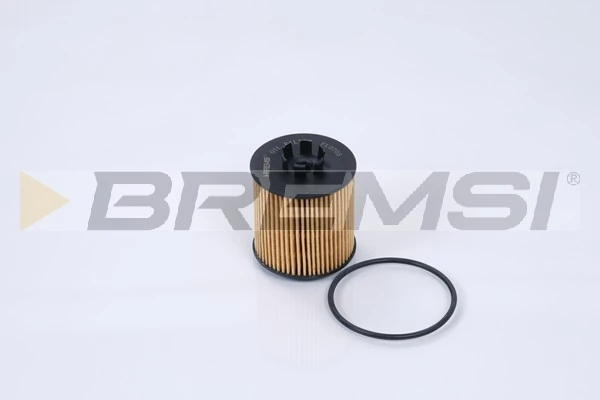Oil Filter FL0705