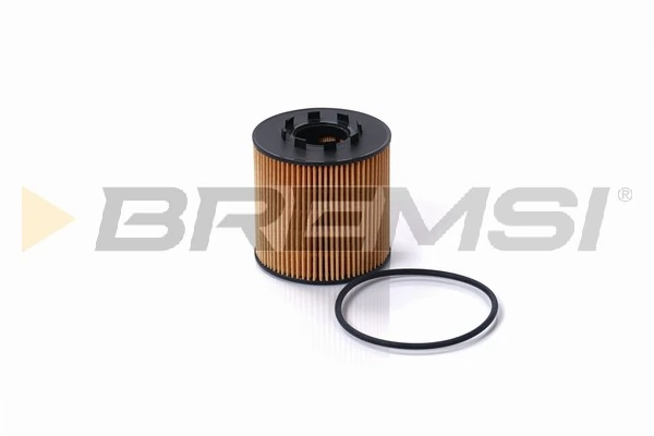 Oil Filter FL0693