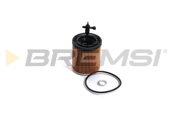 Oil Filter FL2507