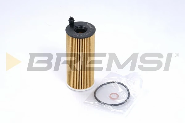 Oil Filter FL0019