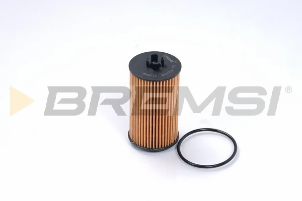 Oil Filter FL0006