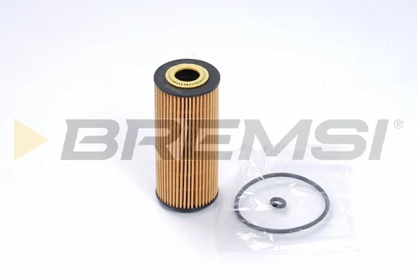 Oil Filter FL0256