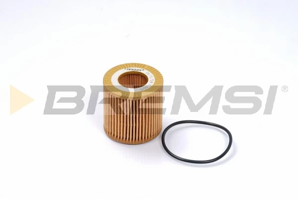 Oil Filter FL0015