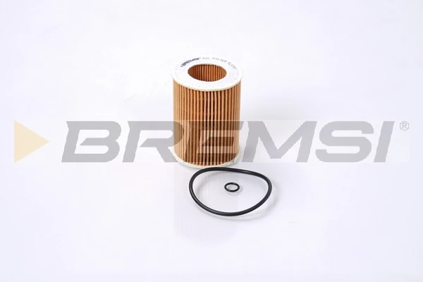 Oil Filter FL0707