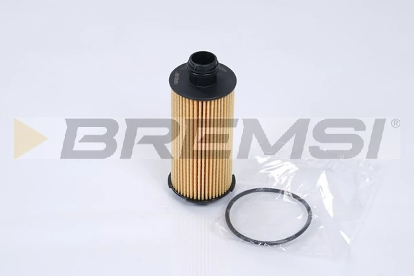 Oil Filter FL0289