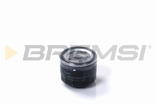 Oil Filter FL0281
