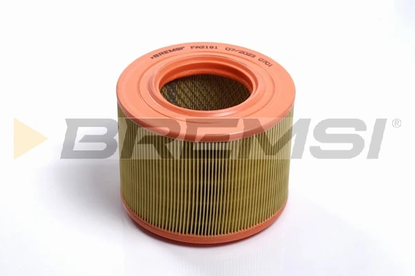Air Filter FA2181