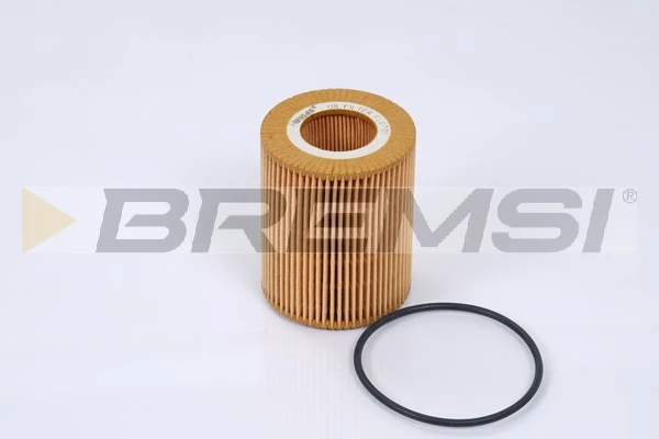 Oil Filter FL0701
