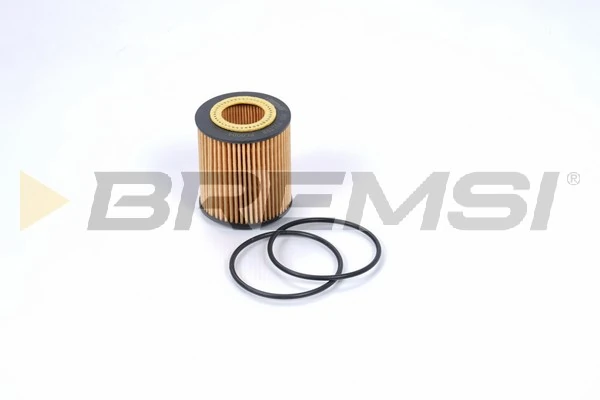 Oil Filter FL0004