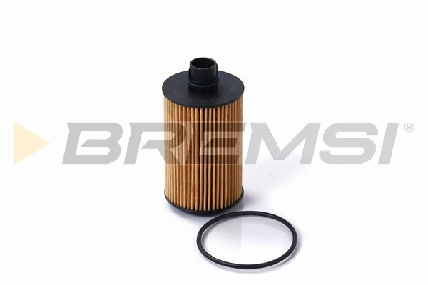 Oil Filter FL0699