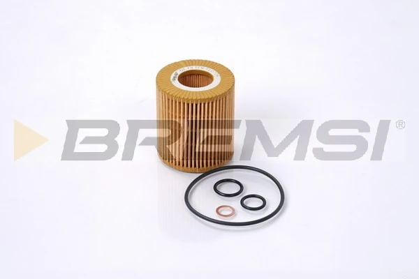 Oil Filter FL0704