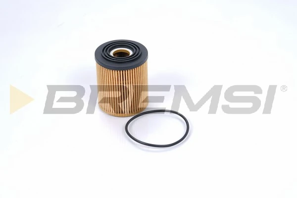 Oil Filter FL0694