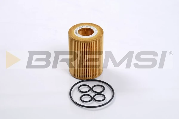 Oil Filter FL0273