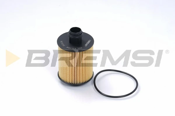Oil Filter FL0138