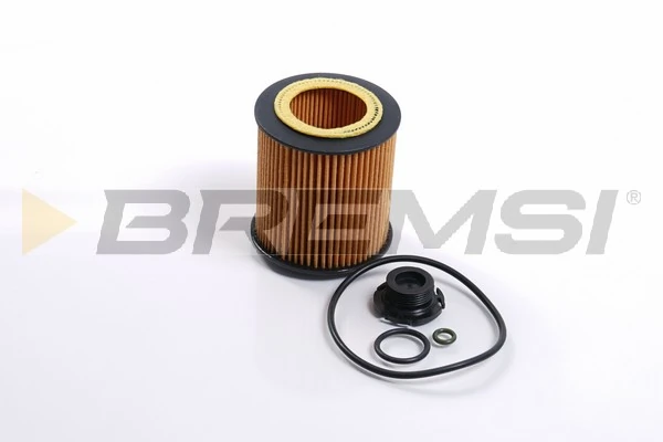 Oil Filter FL2351