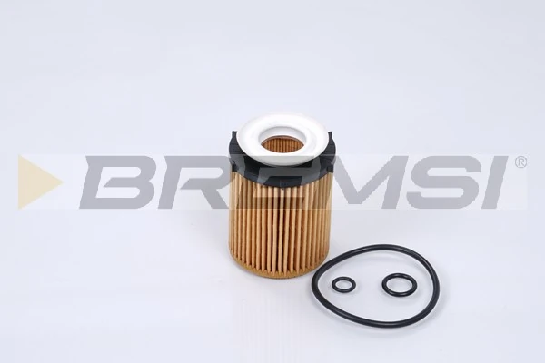 Oil Filter FL0270