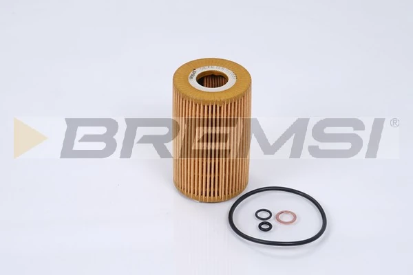 Oil Filter FL0689