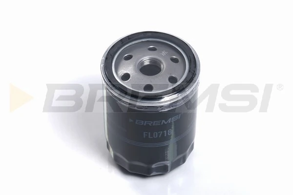 Oil Filter FL0718