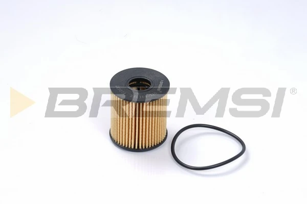 Oil Filter FL0137