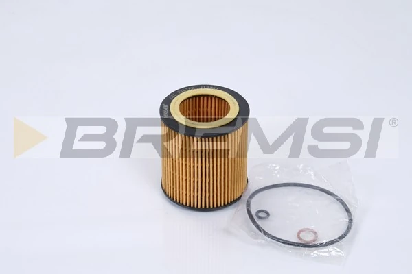 Oil Filter FL1281